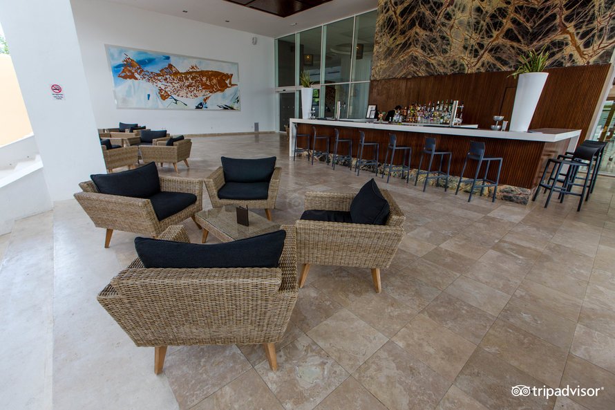 bar-moments--v16074946