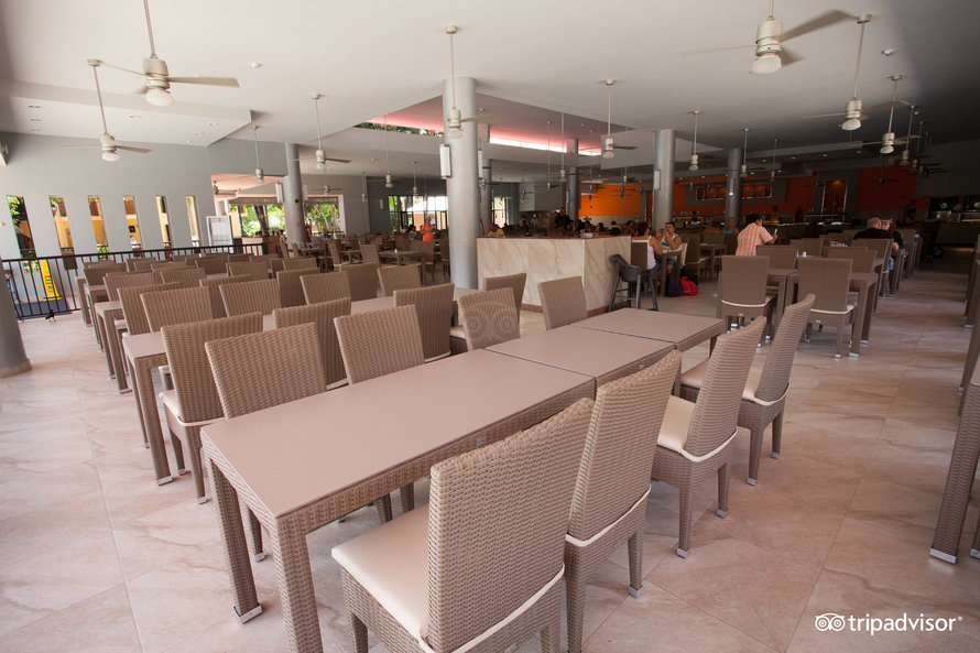 bar-palapa–v2458219