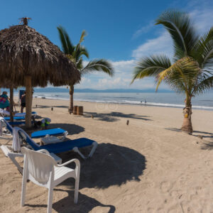 beach--v14359669