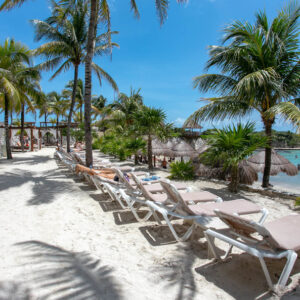 beach--v17502106