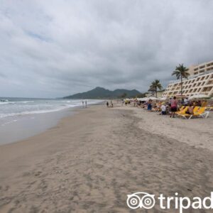 beach-v18526748