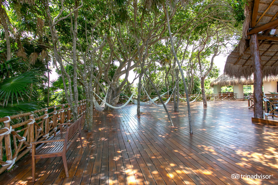 buffet-restaurant–v17502158