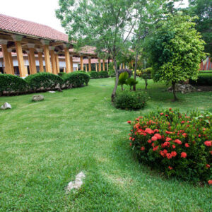 garden--v4086200