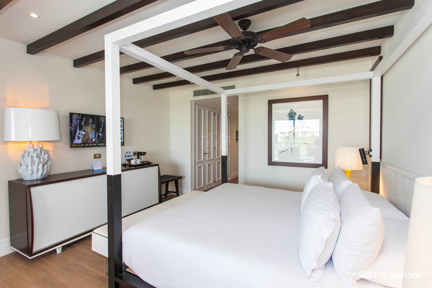 jr-suite-daisy–v16682809