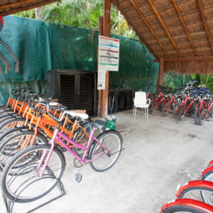 sports-facilities--v3164311