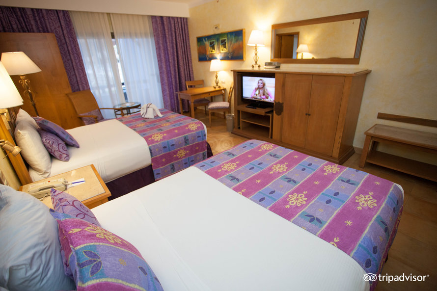 standard-family-room–v4088491