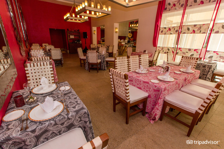 tamarindo-mexicano–v16075661