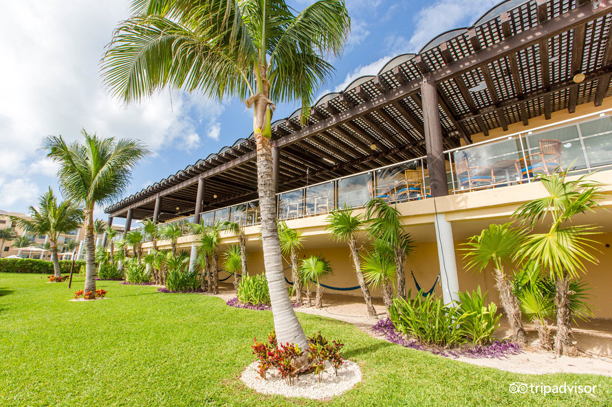 the-hotel–v16075627