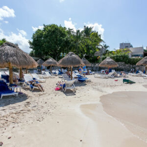 beach--v15036425