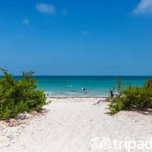 beach-v18550778