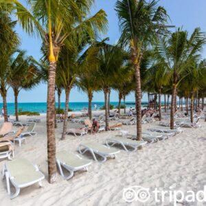 beach-v18550784