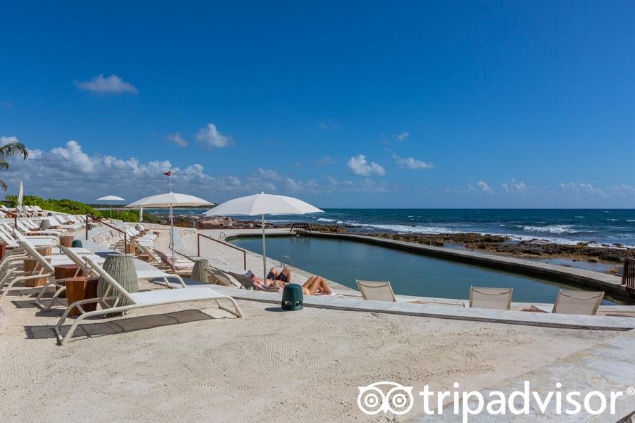 salt-water-pool-v18676538