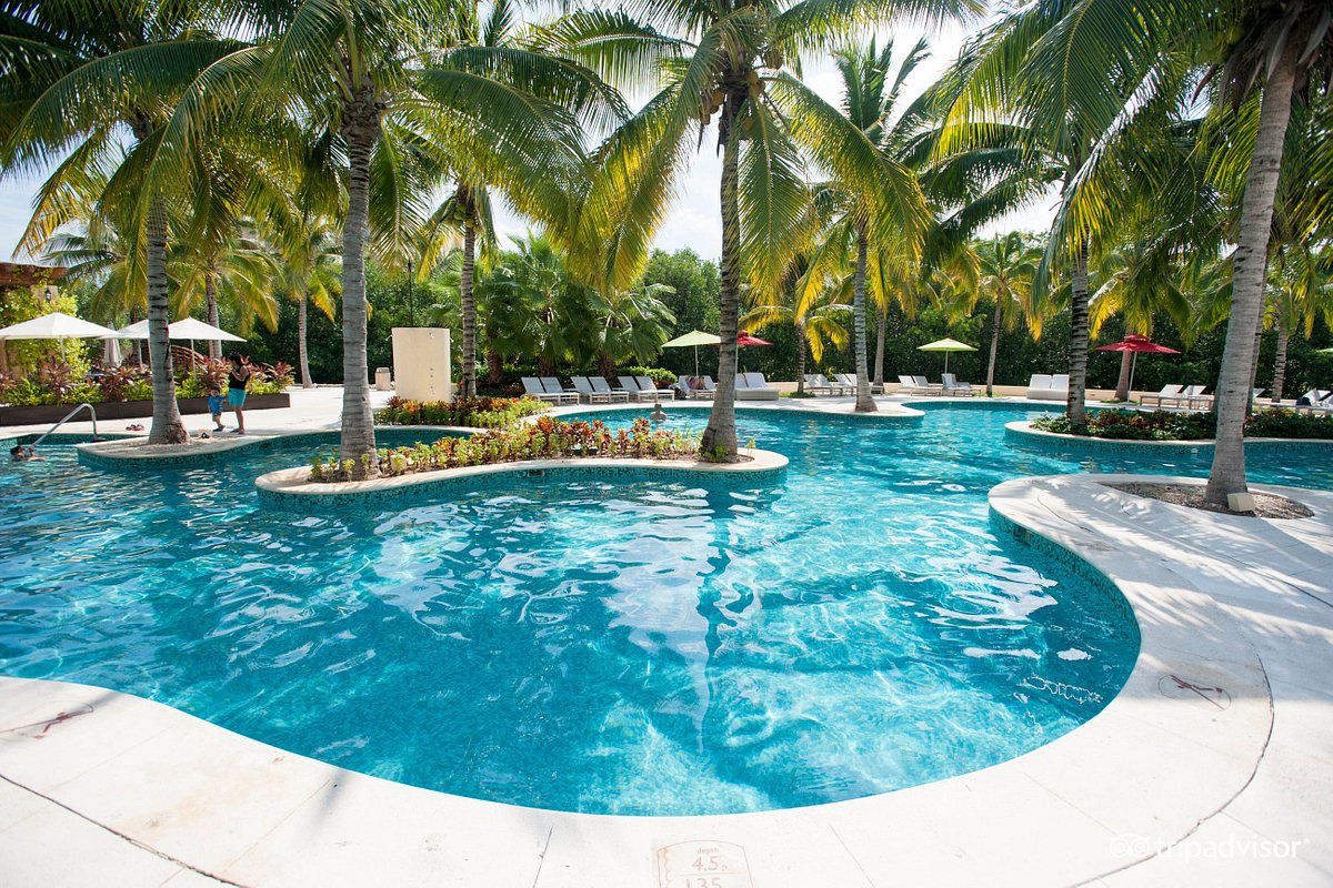 adults-pool–v4389457