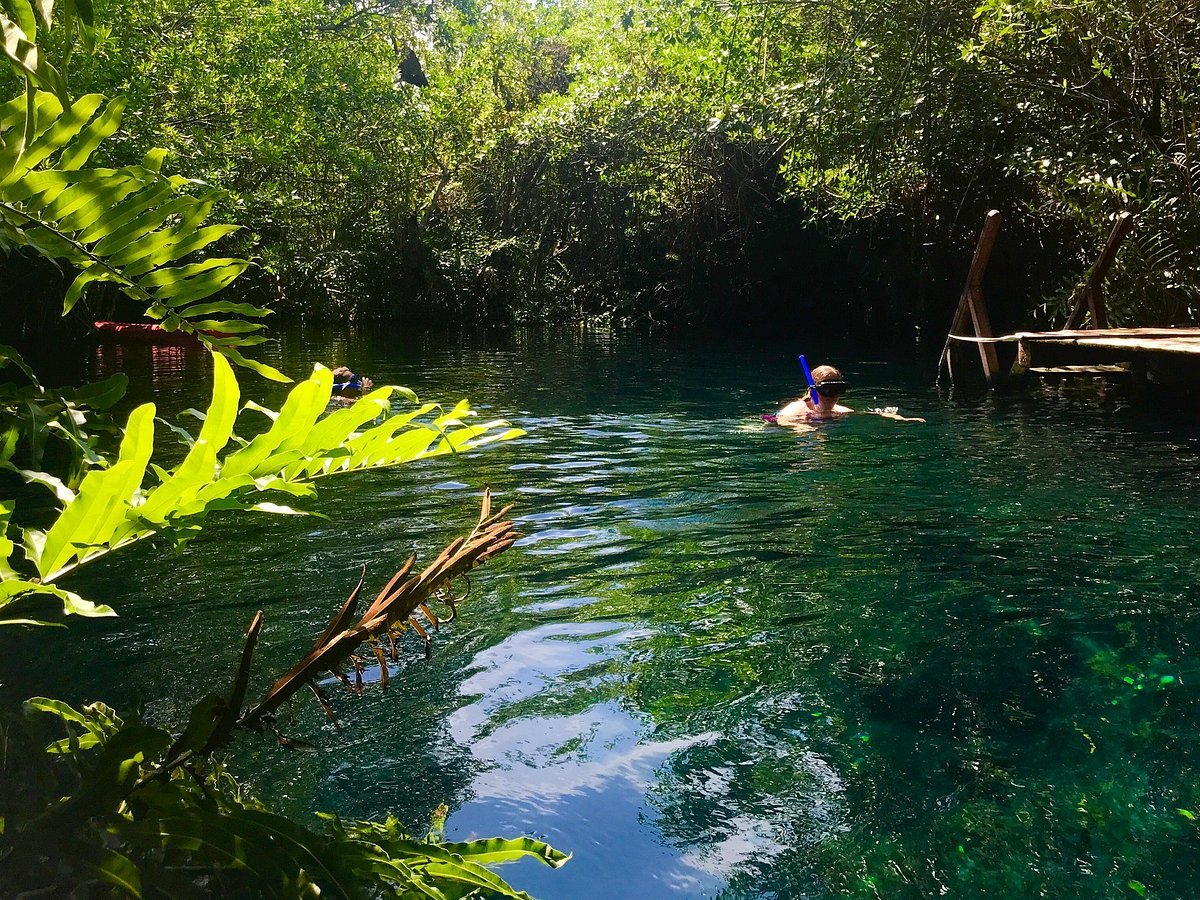 do-you-like-nature-make