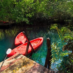 kayak-tour