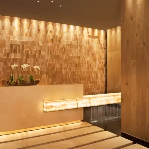 DREVC-P0005-Spa-Reception.16x9