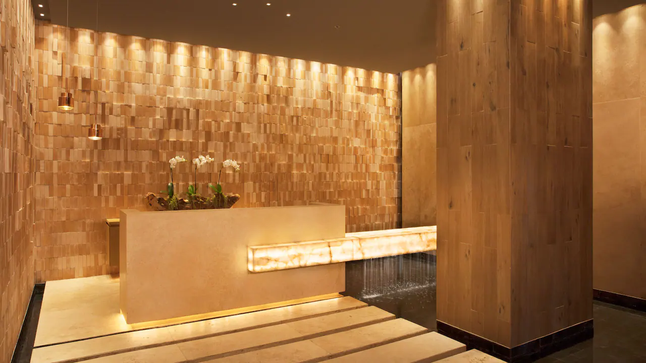 DREVC-P0005-Spa-Reception.16x9