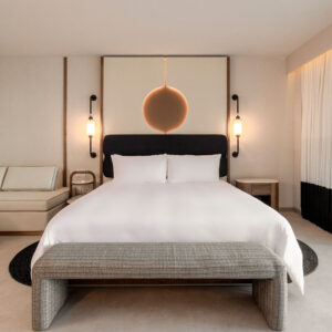 23169499_ImageLargeWidth