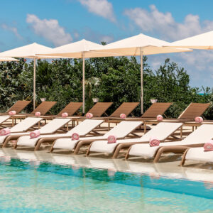 23811620_ImageLargeWidth