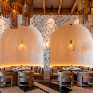 24624181_ImageLargeWidth