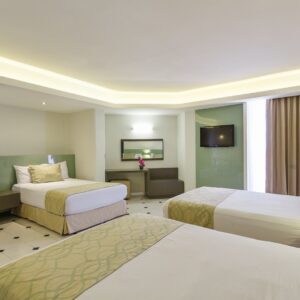 24.jpg_0.89370000-1449679860