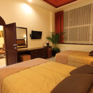 img_9465.jpg_0.61306300-1449681315