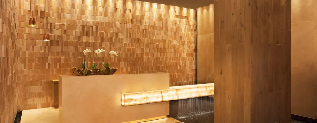 DREVC-P0005-Spa-Reception.16×9