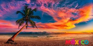 Viaja por México