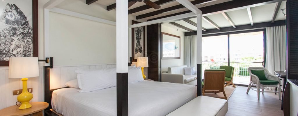 jr-suite-daisy–v16682543