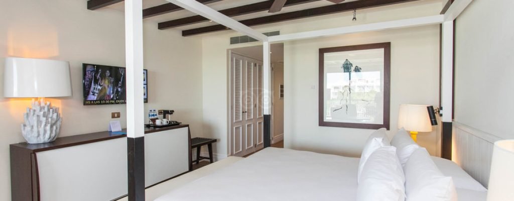 jr-suite-daisy–v16682809